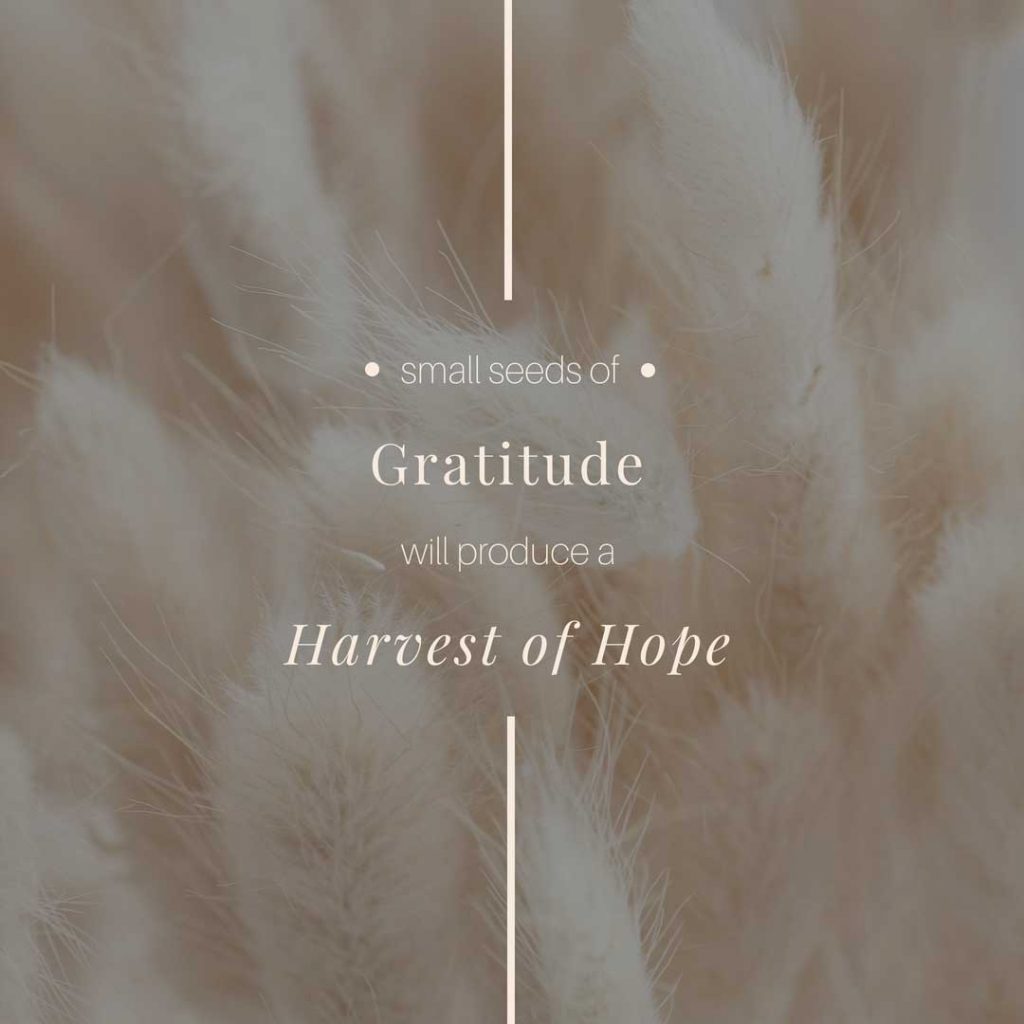 Image Quote: small seeds of gratitude will produce a harvest of hope