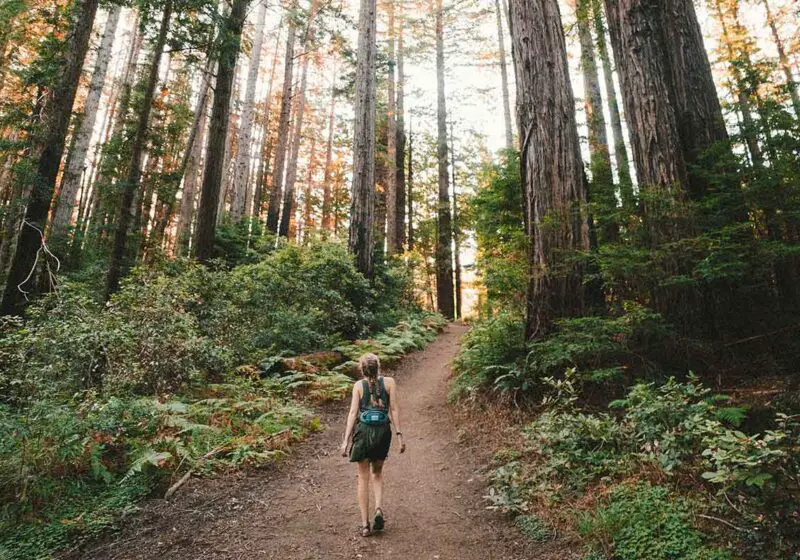 Woman hiking in the woods